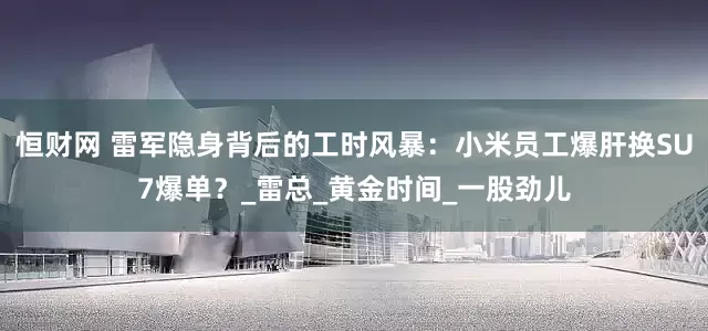 恒财网 雷军隐身背后的工时风暴：小米员工爆肝换SU7爆单？_雷总_黄金时间_一股劲儿